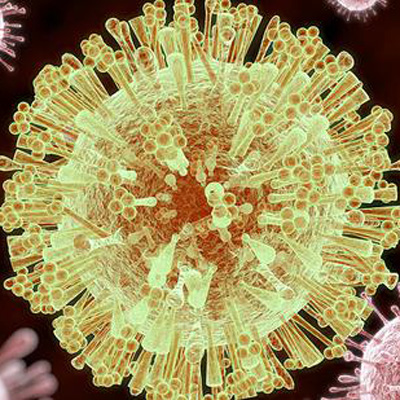寨卡病毒到底有多大的危害 有什么症状？